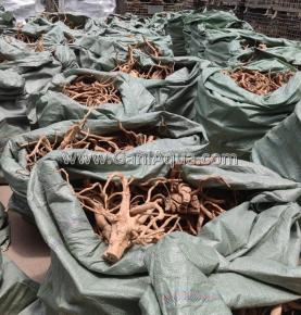 Decoration Roots PP Bag Packing