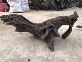 Purple Driftwood Terrarium Wood
