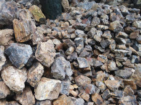 Fossil Wood Aquairum Rocks