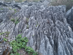 Seiryu Rocks Quarry