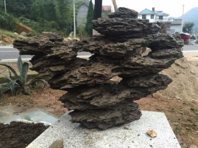 Purple Alveolate Rocks Aquascaping Stone
