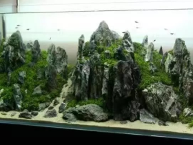 Seiryu Rocks for Aquarium