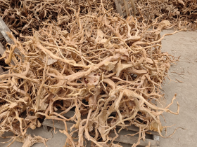 Natural Azalea Root