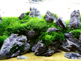 Green Aquarium Slate Rock