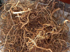 Root Vine Aquarium Hardscaping