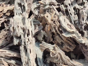 Dragon Wood Shrimp Hiding Wood