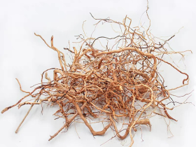 Azalea Root Vine Aquarium Detailing Root