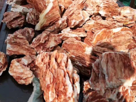 Chicken Bone Aquarium Rock