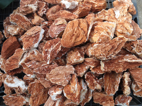 Chicken Bone Stone