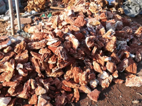 Chicken Bone Rocks