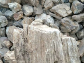 Wood Fossil Stone Aquascaping Rocks
