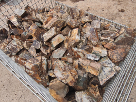 Wood Fossil Rocks