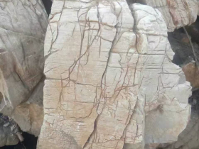 Turtle Skin Rocks Aquascaping Stone